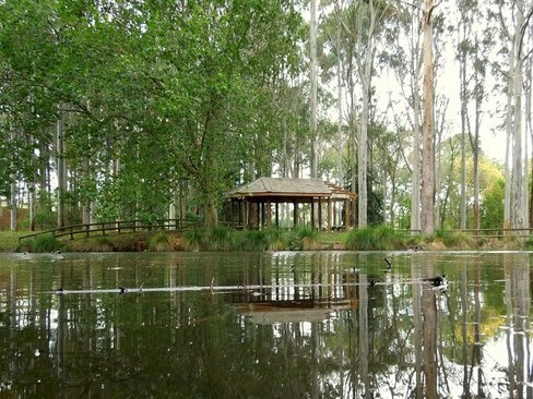 Taitua arboretum