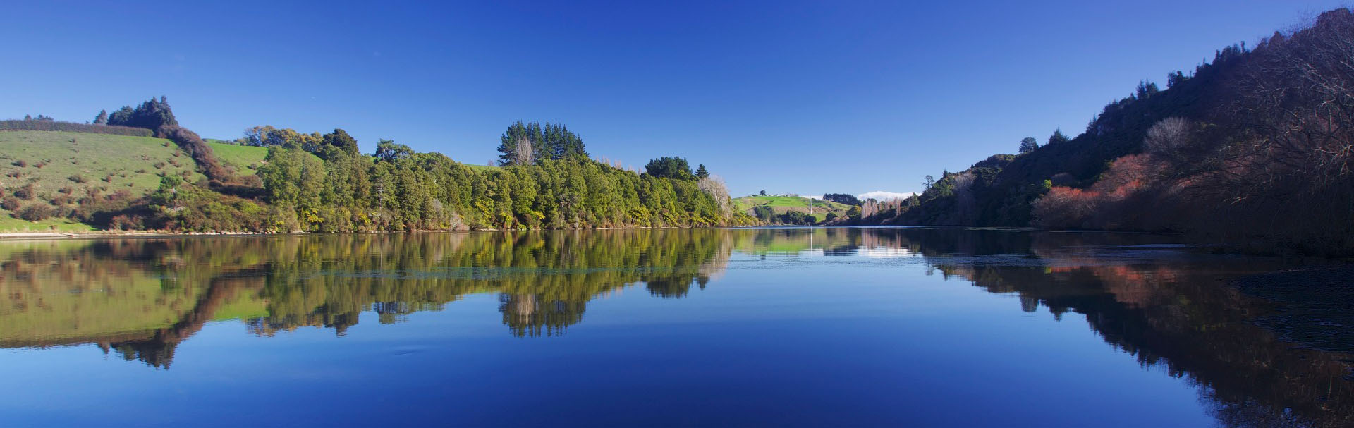 Waikato river landscape